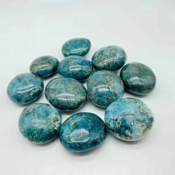 large apatite palm wholesale crystals