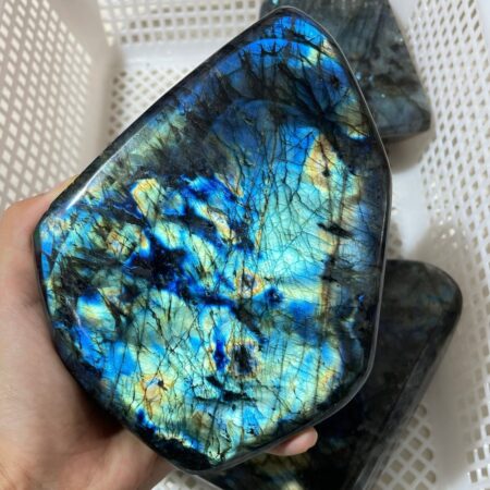 5 pieces large labradorite free form wholesale crystals 148184